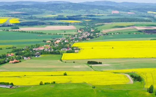 Types of Land Use in Rural Settlements