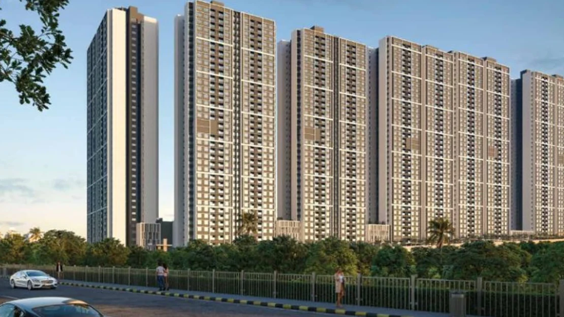 video image