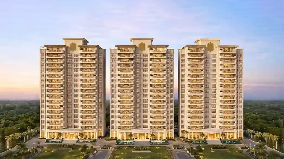 video image