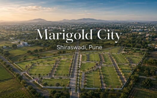 Marigold City, Shiraswadi, Pune