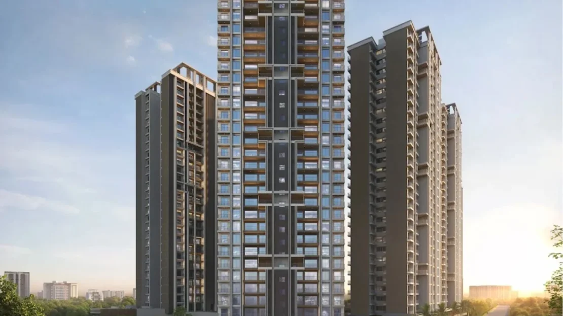 video image