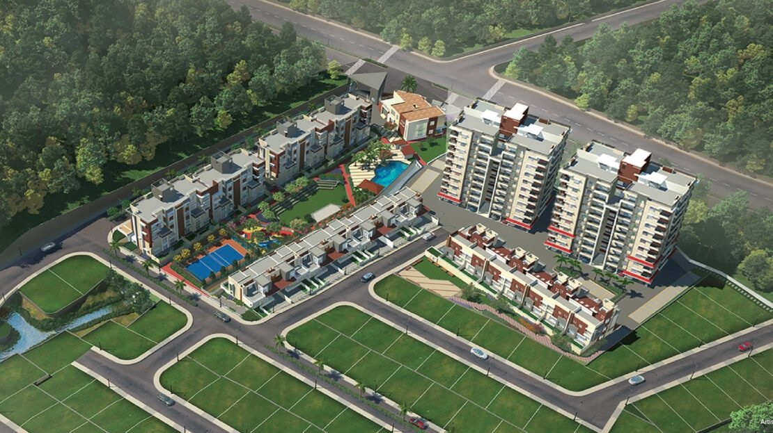 video image
