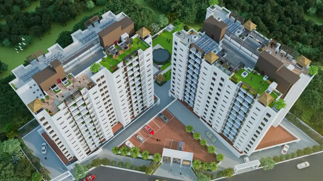 video image