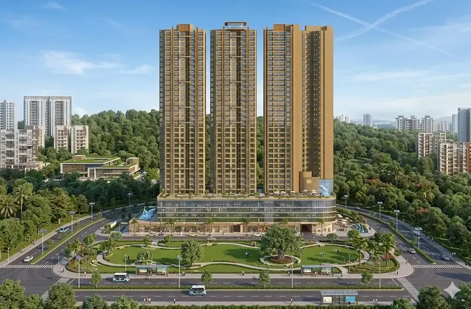 video image